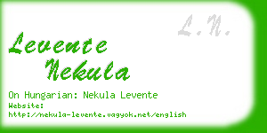 levente nekula business card